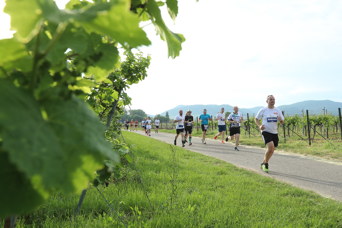 20220519_FirmenlaufLD_150_WEB_fotolutz.com